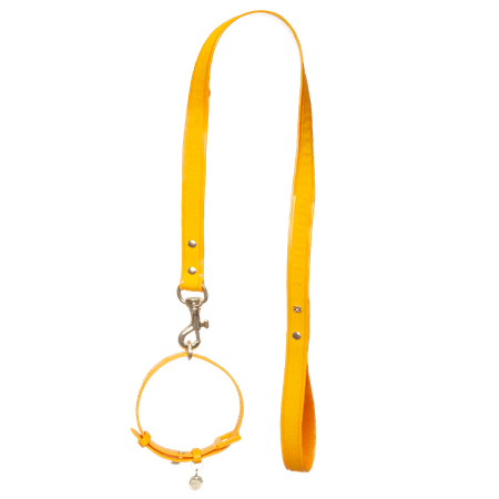 Guia + Coleira Mostarda PJ20047 40CM