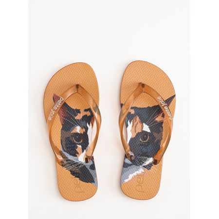 Chinelo Petite Jolie Fresh Doce Leite /Pet Lover 15 PJ6969IN 27-8