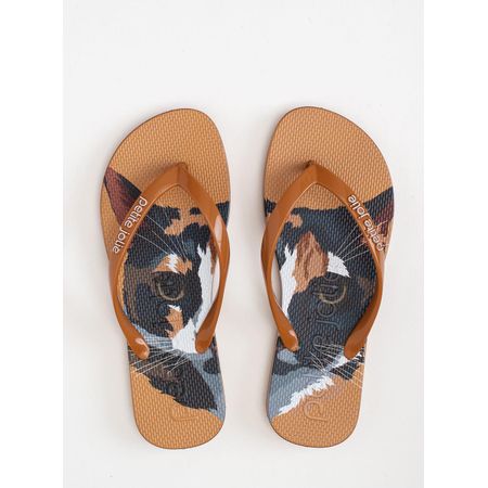 Chinelo Petite Jolie Fresh Pet Lovers 15 PJ6969 33-4